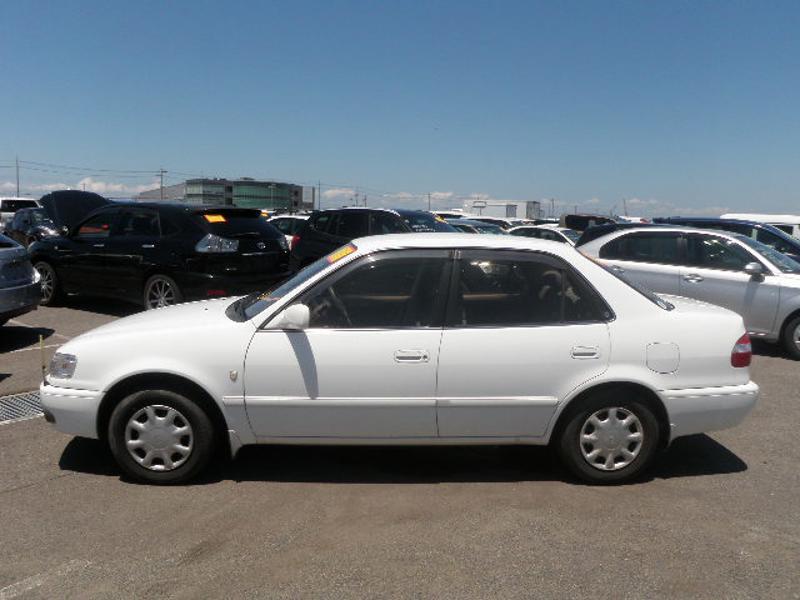 COROLLA