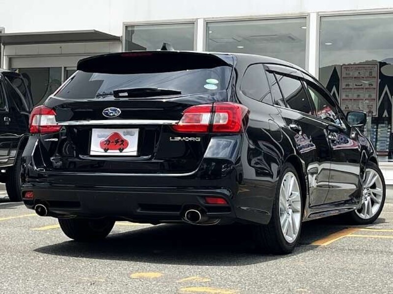 LEVORG