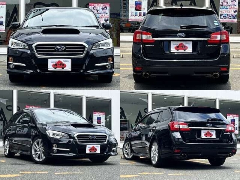 LEVORG