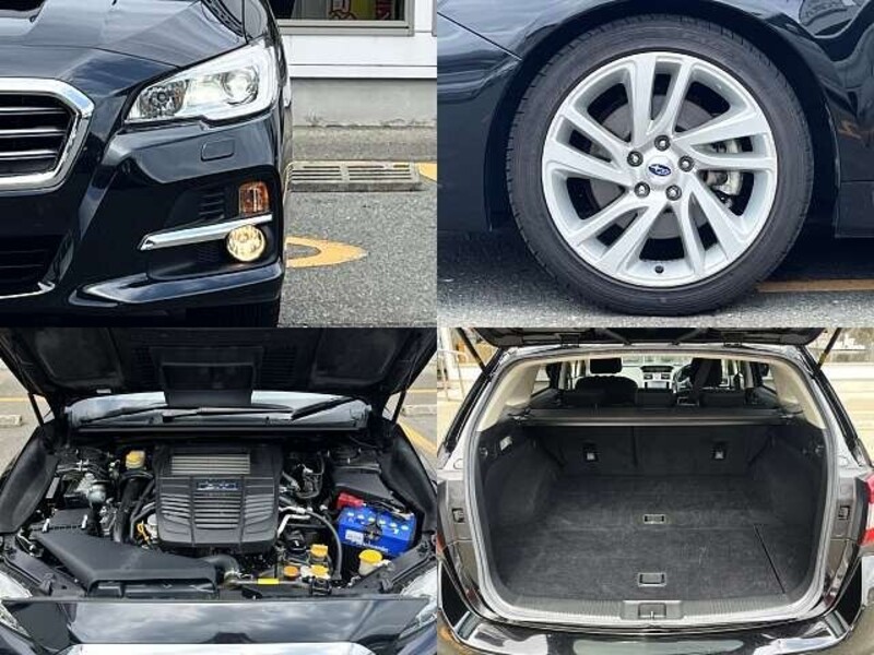 LEVORG