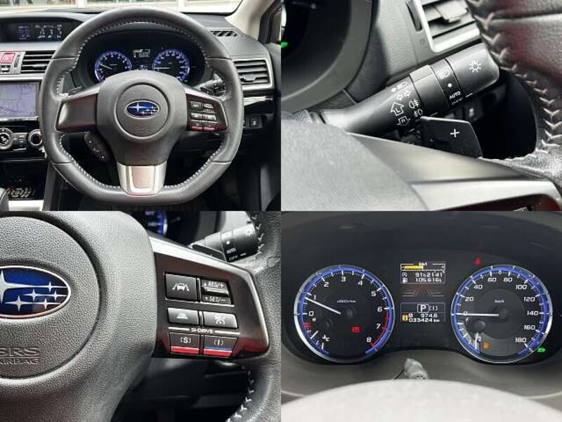 LEVORG