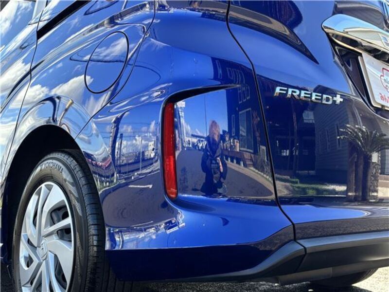 FREED+