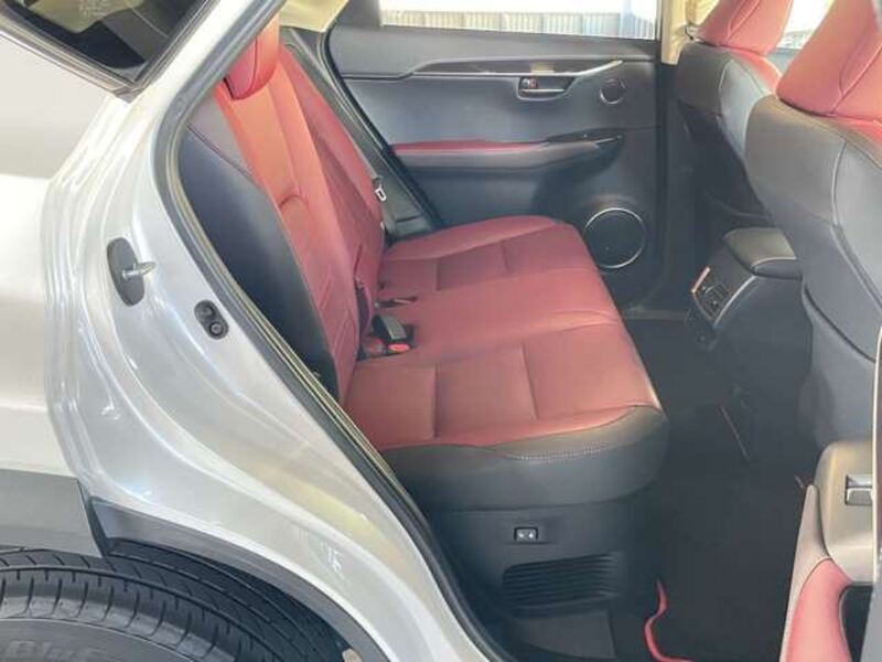 NX