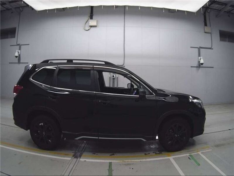 FORESTER