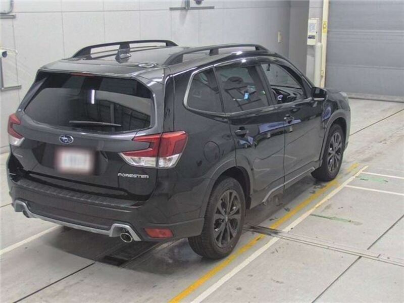 FORESTER