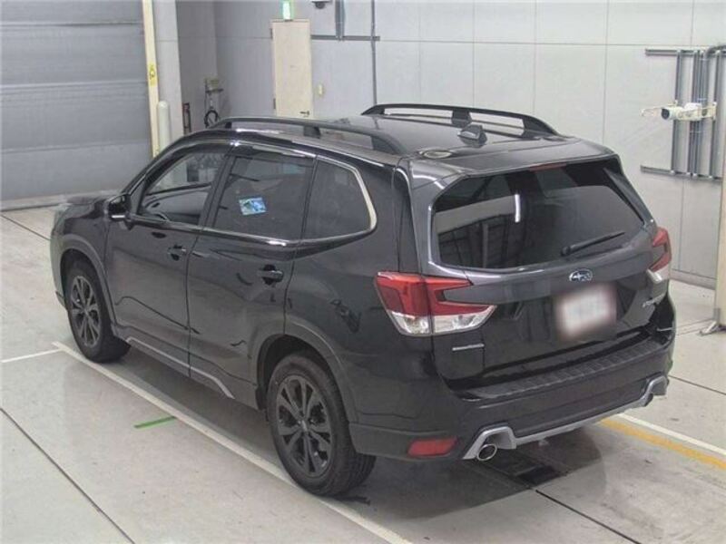 FORESTER