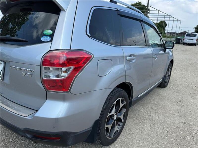FORESTER
