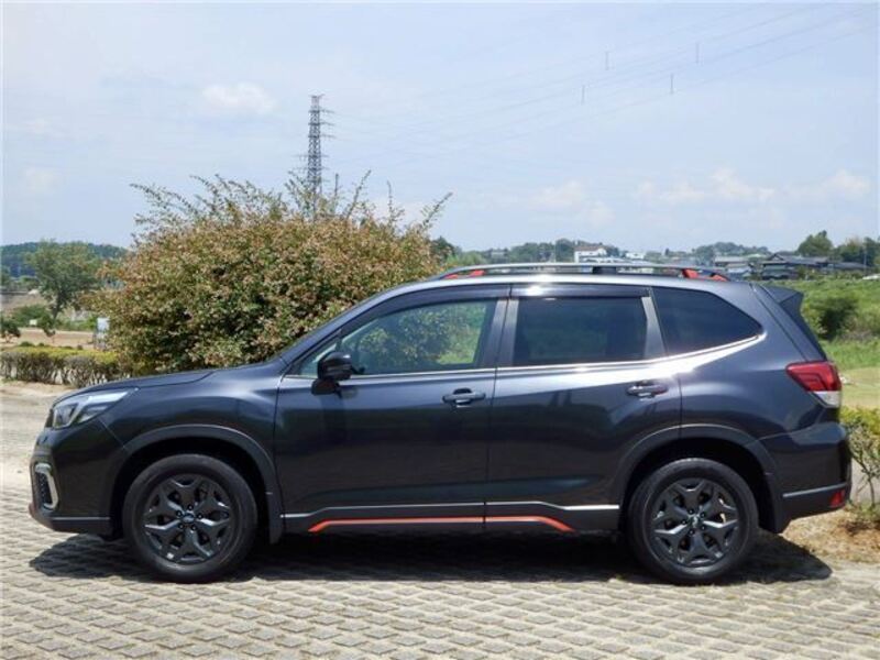 FORESTER