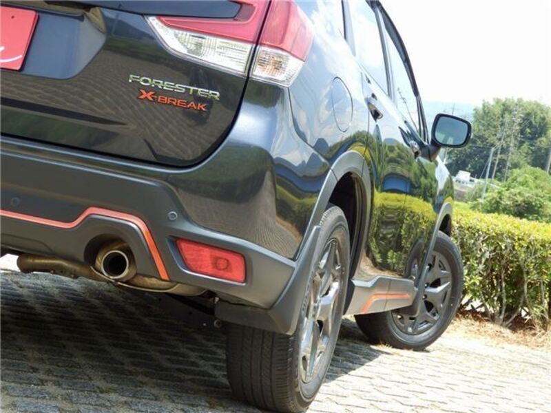 FORESTER