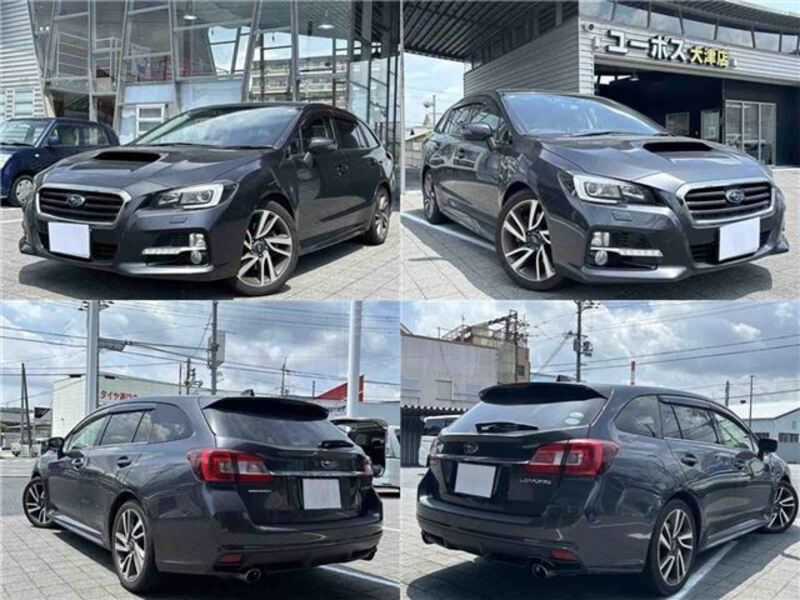 LEVORG