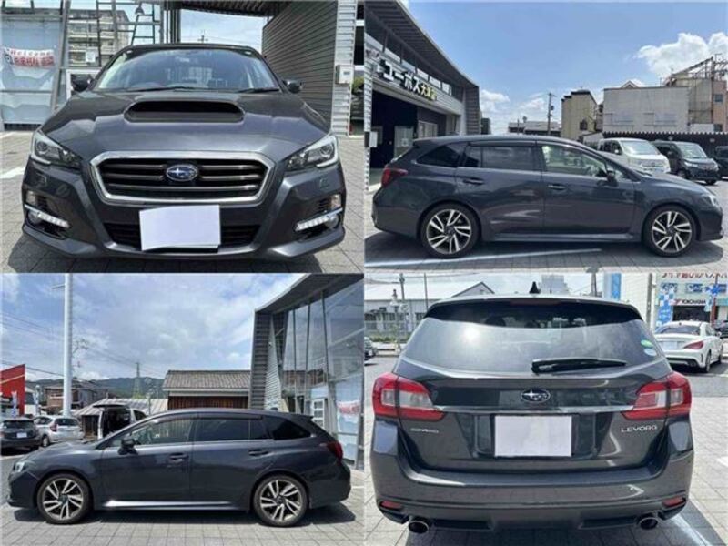 LEVORG