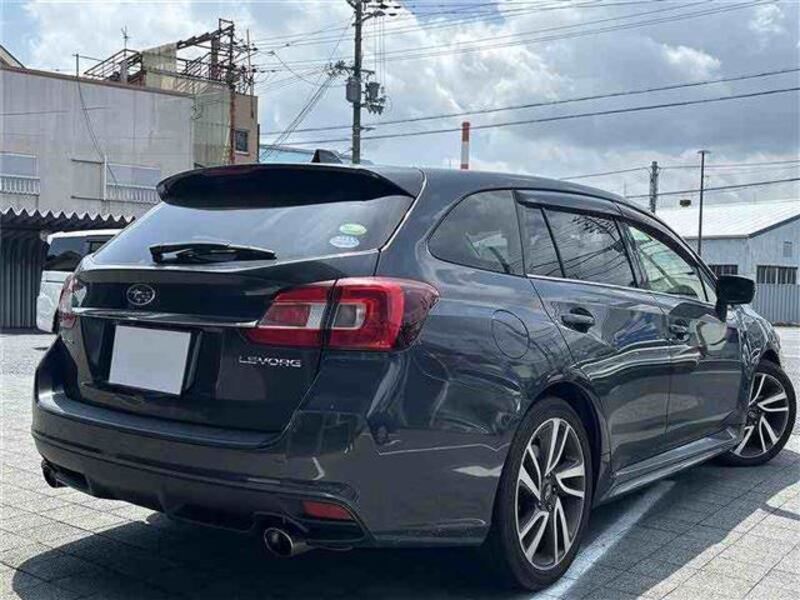 LEVORG