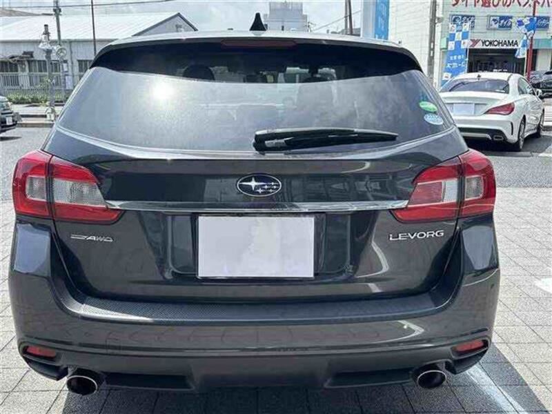 LEVORG
