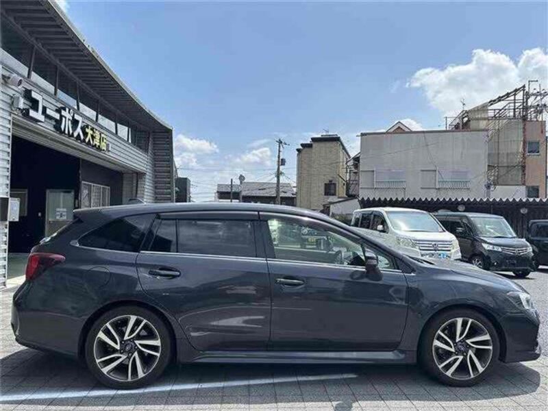 LEVORG