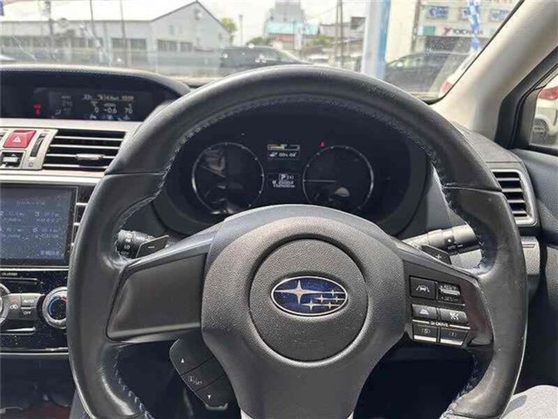 LEVORG
