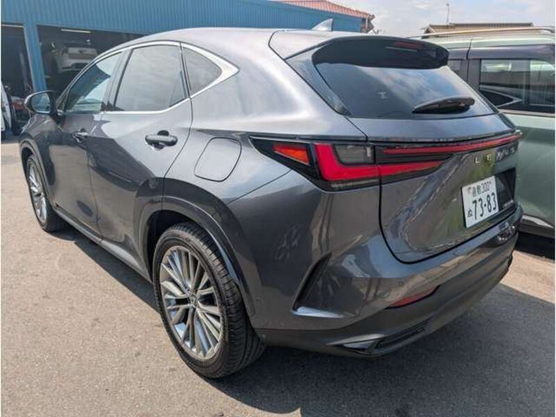 NX