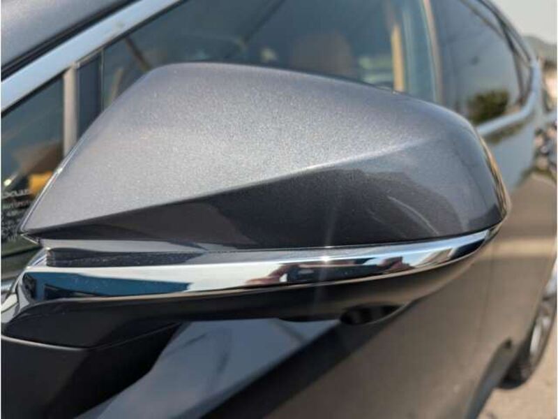 NX