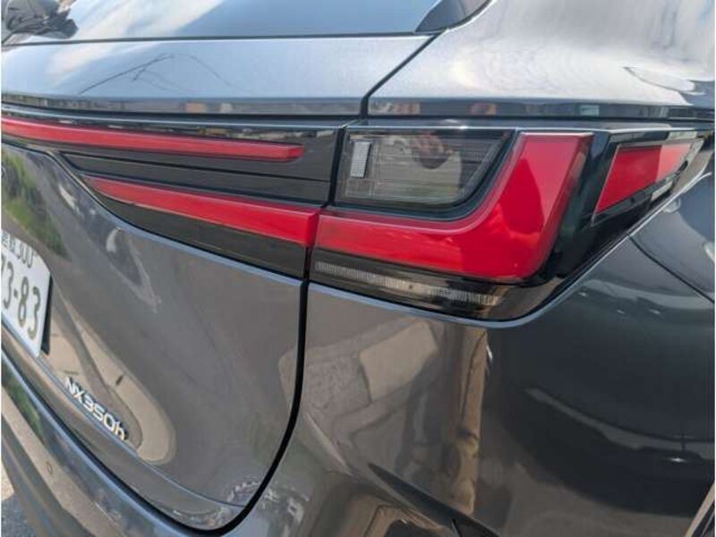 NX