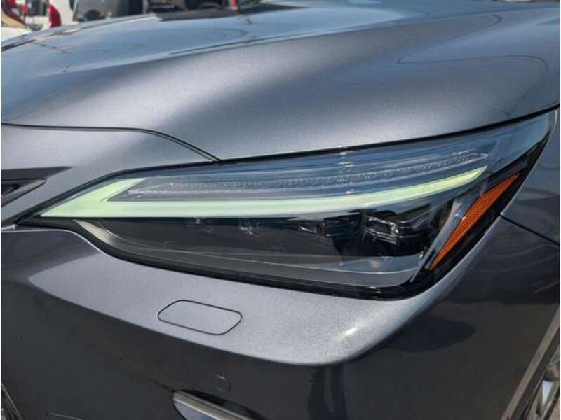 NX