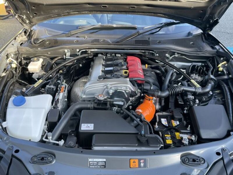 ROADSTER RF