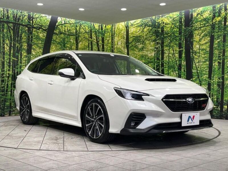 LEVORG