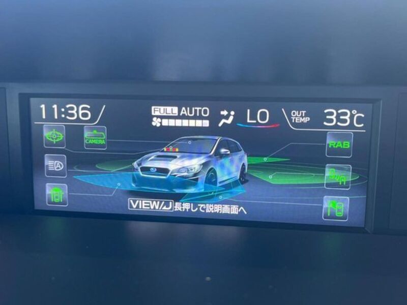 LEVORG