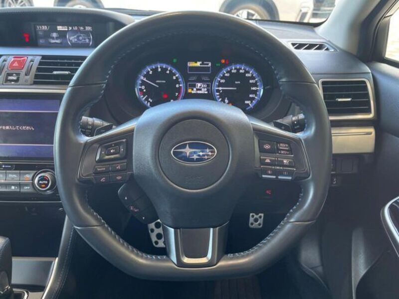 LEVORG