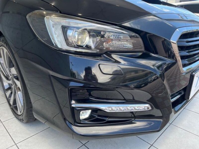 LEVORG