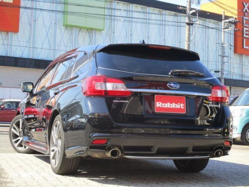 LEVORG