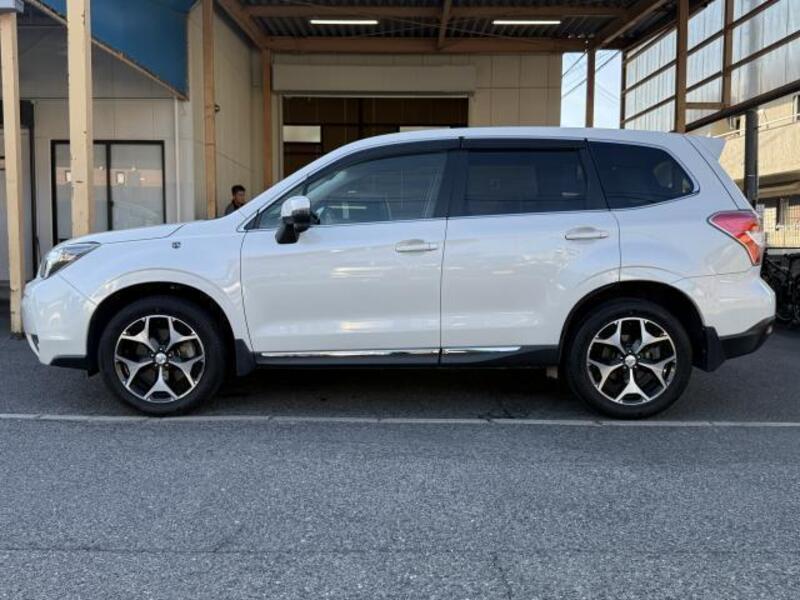 FORESTER