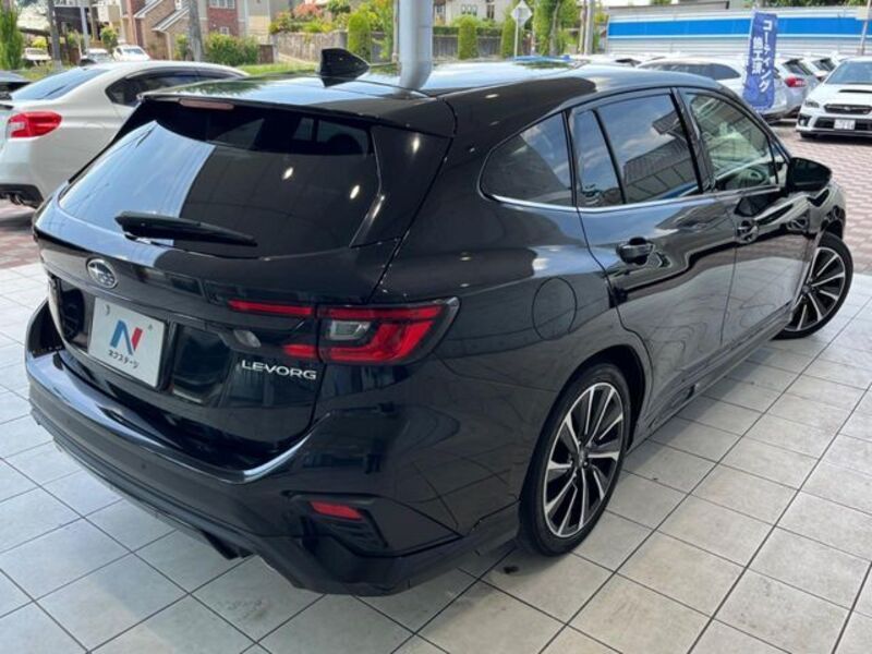 LEVORG