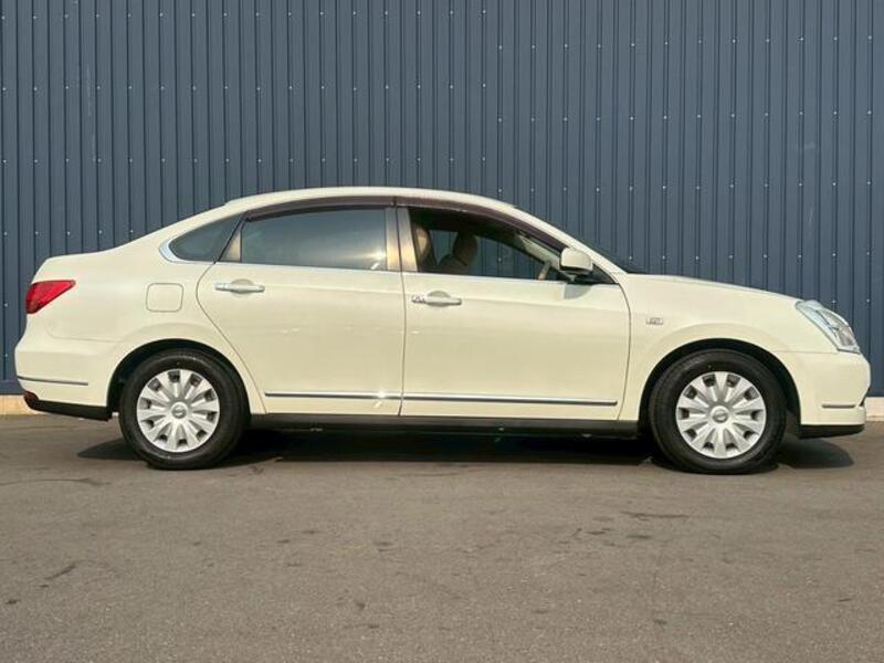 BLUEBIRD SYLPHY