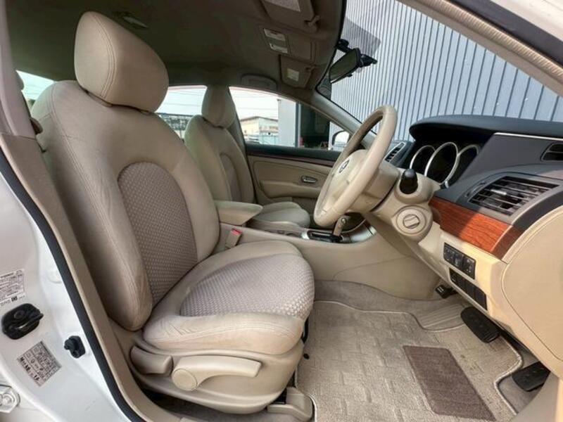 BLUEBIRD SYLPHY