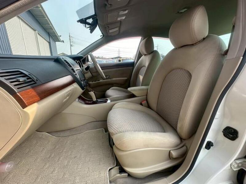 BLUEBIRD SYLPHY