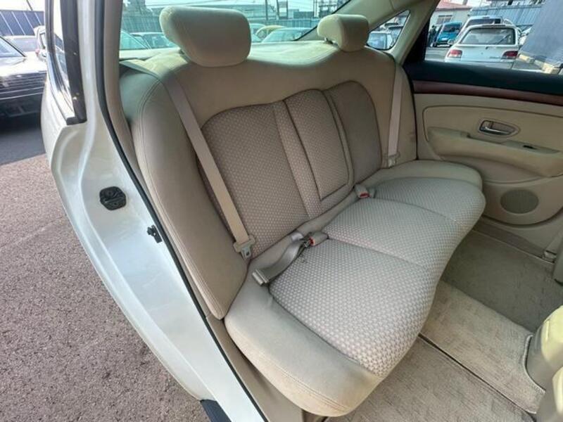 BLUEBIRD SYLPHY