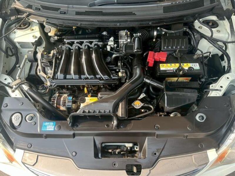 BLUEBIRD SYLPHY