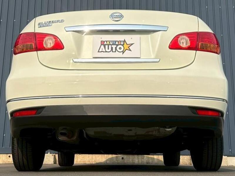 BLUEBIRD SYLPHY