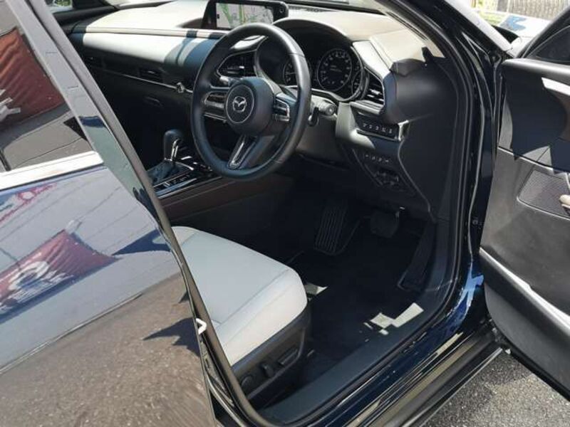 CX-30