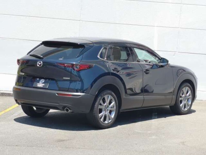 CX-30