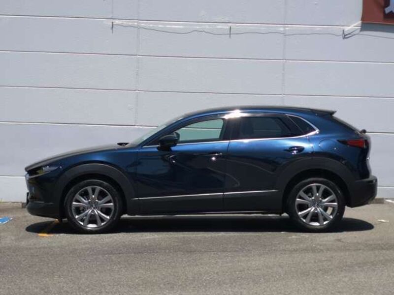 CX-30
