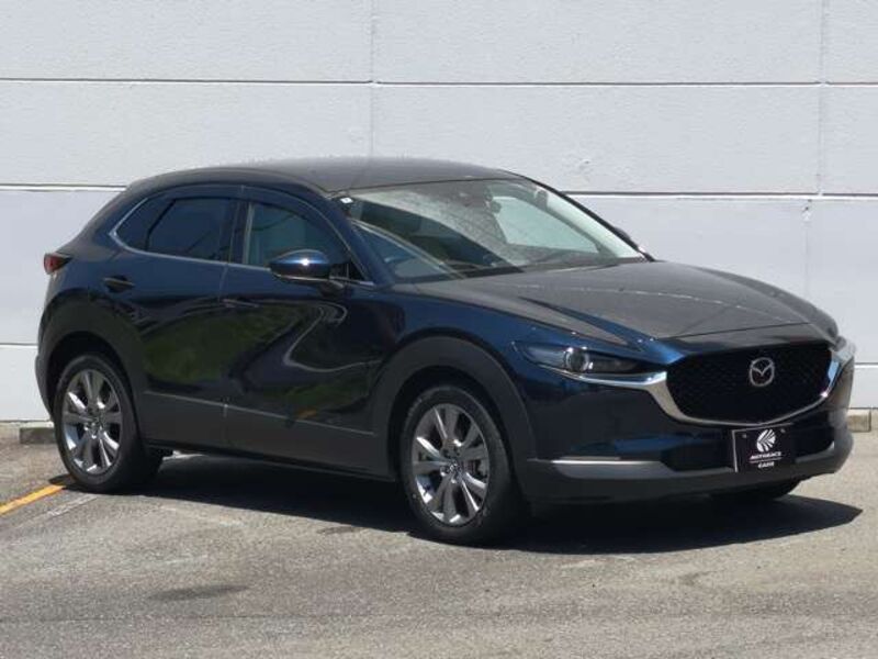 CX-30