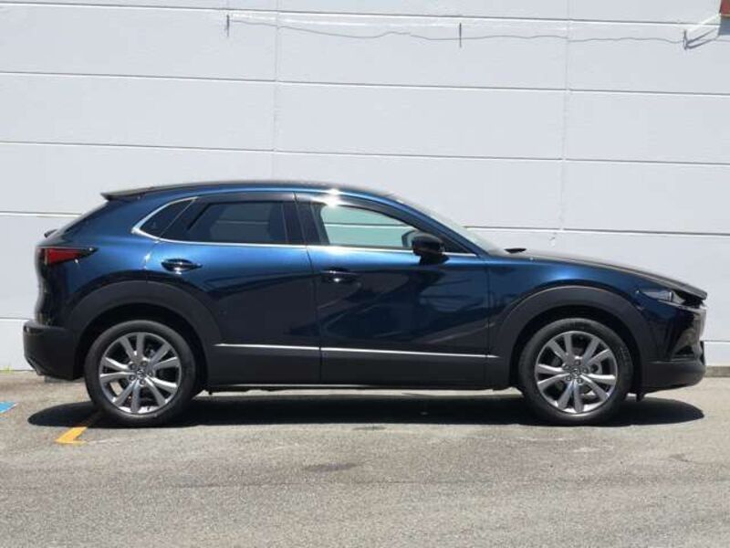 CX-30