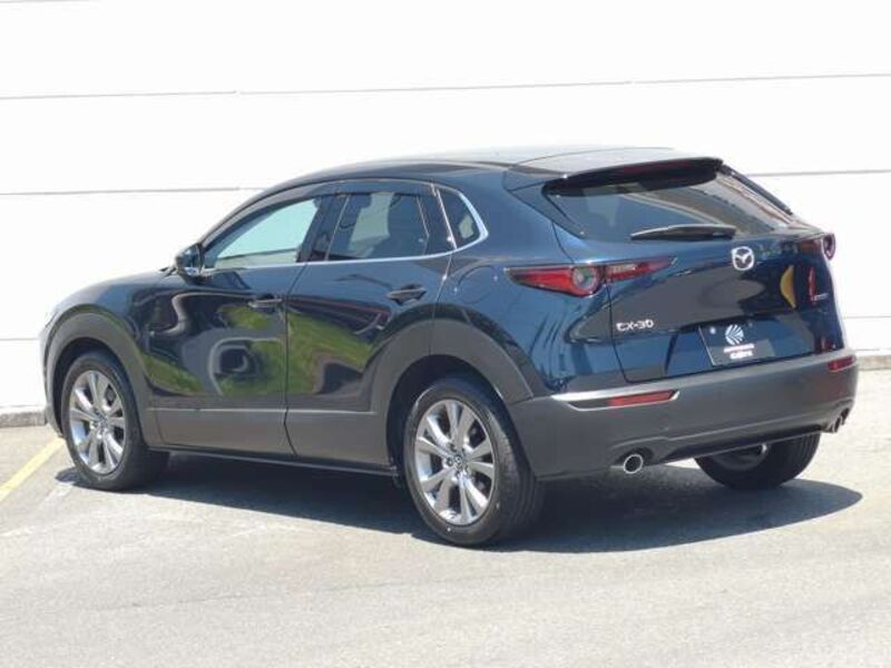 CX-30