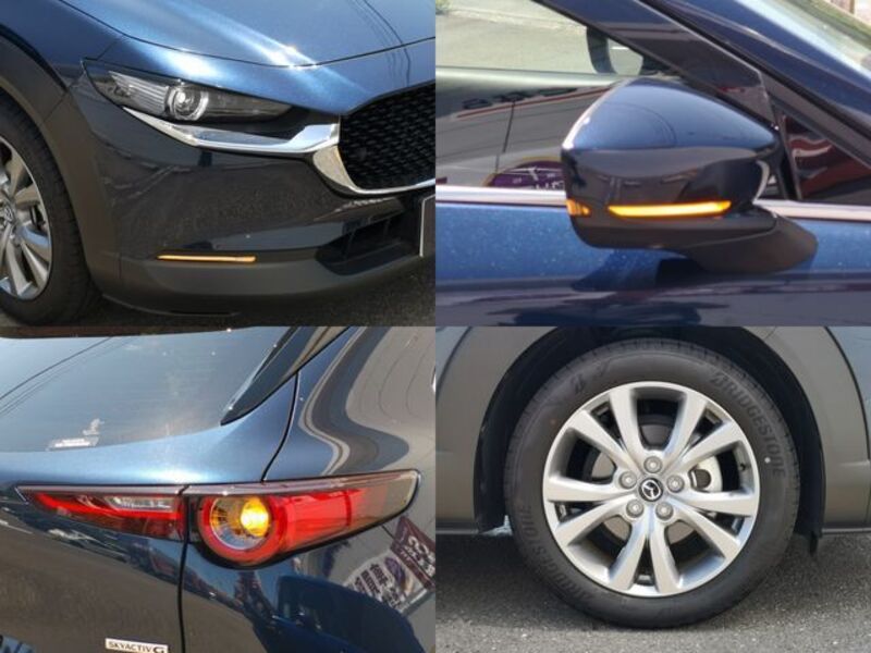 CX-30