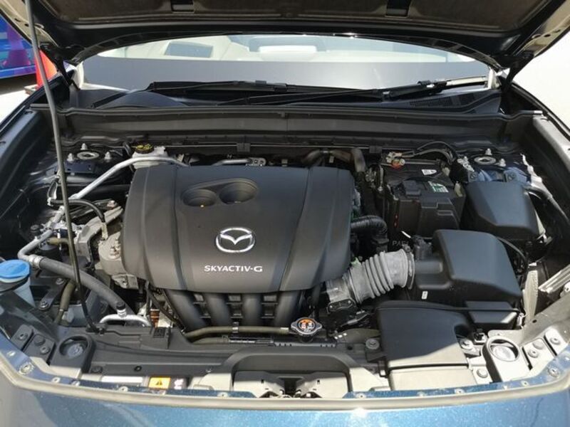 CX-30