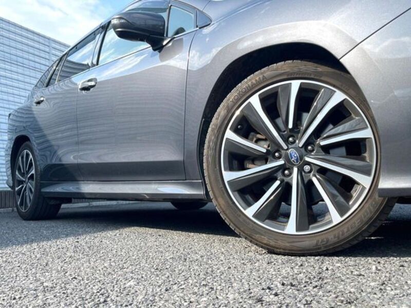 LEVORG