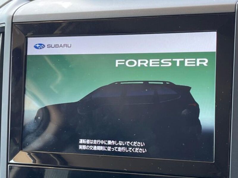 FORESTER