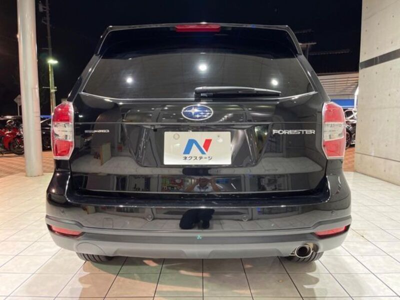 FORESTER