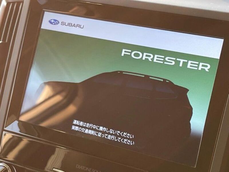 FORESTER