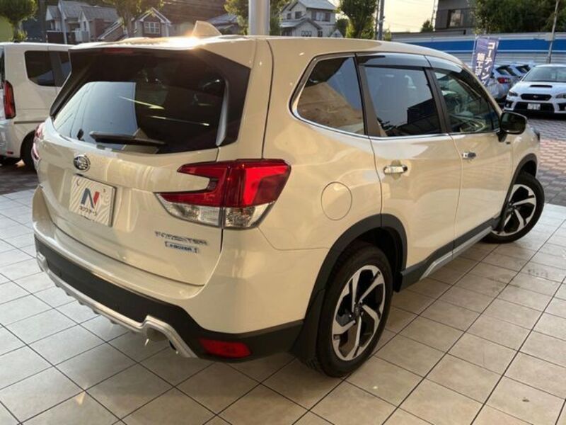 FORESTER